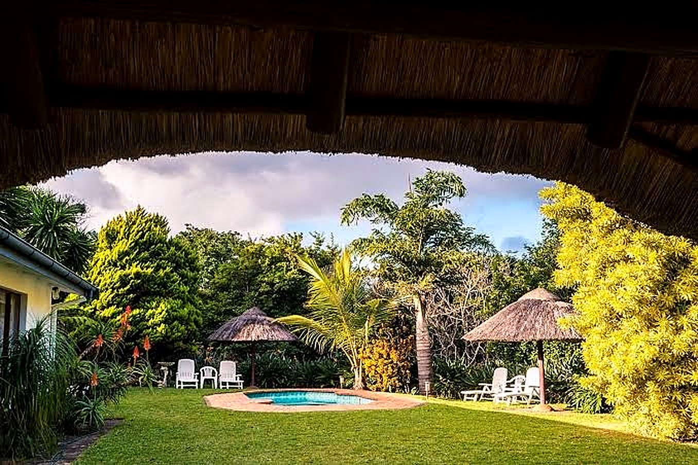 Swimming pool with thatched umbrellas set in the lodge gardens